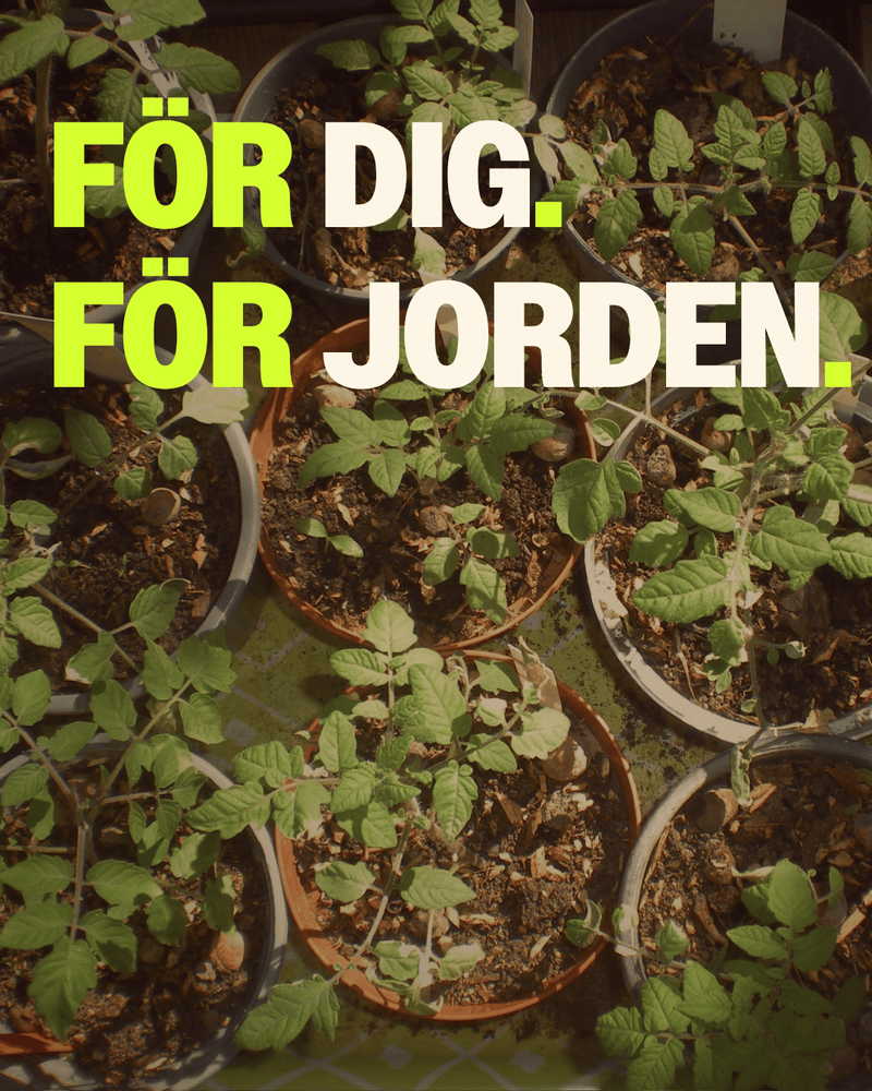 Flertalet plantor med texten "För dig. För jorden."