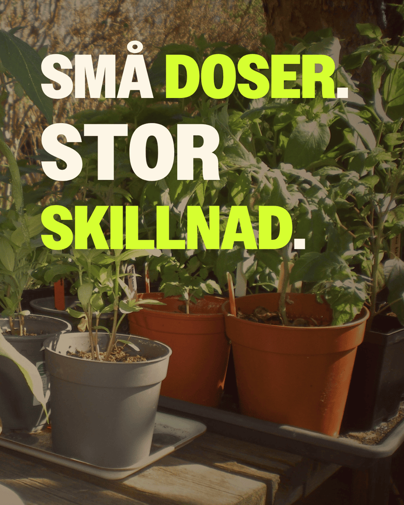 Olika plantor på ett bord med texten "Små doser. Stor skillnad."